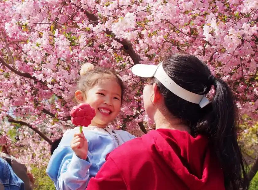“節(jié)氣+文旅”為市場注入新動能