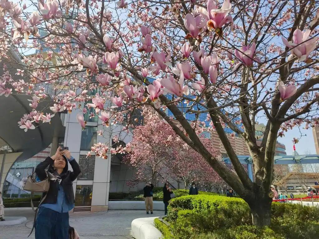 “踏青+”釋放文旅消費潛力