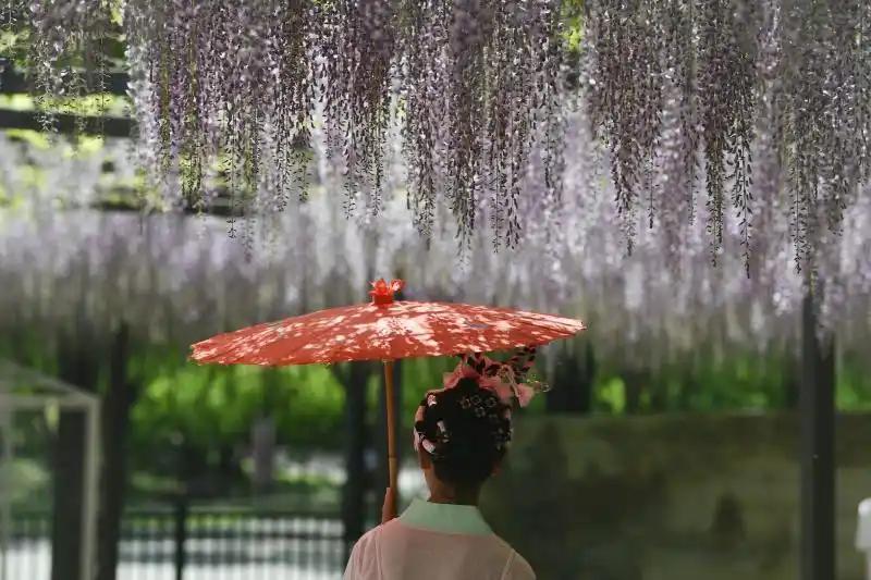 北京發布“公園治愈指南” 30處清幽空間等你來