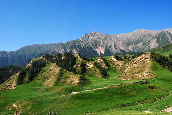 國家公園人才培養創新聯盟成立