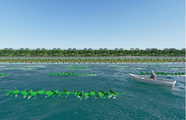 應對海平面上升的循環(huán)經(jīng)濟戰(zhàn)略（續(xù)集）