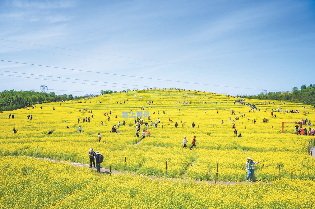 “千園之城”北京：公園里裝著都市生活下半場